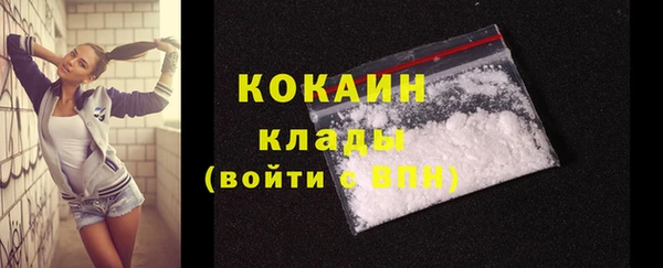 мдпв Козельск