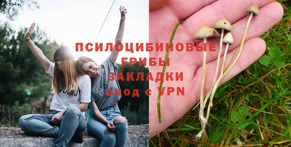 мдпв Козельск