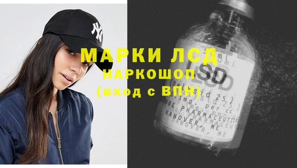 стаф Коряжма
